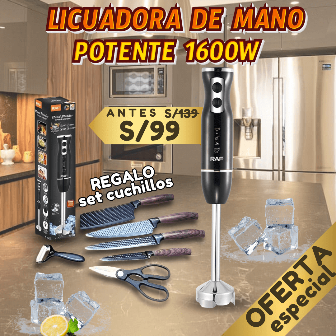 LICUADORA DE MANO RAF